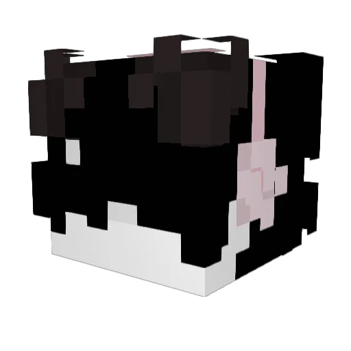 Idk_J_lol Minecraft avatar head, 3D render