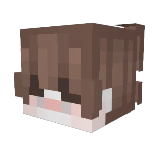 Idkb Minecraft avatar head, 3D render