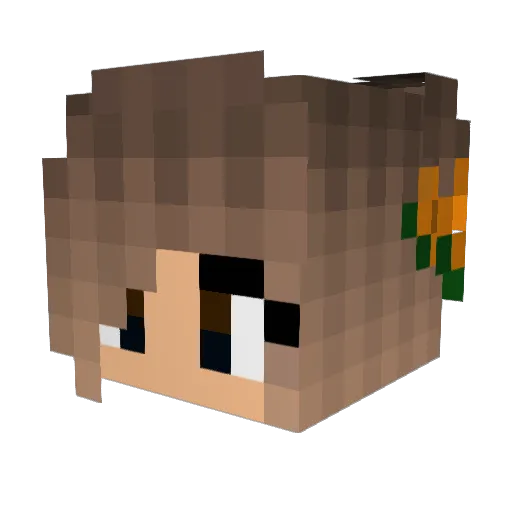 Idle_Worship Minecraft avatar head, 3D render