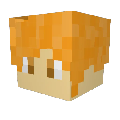 IdoLayla Minecraft avatar head, 3D render