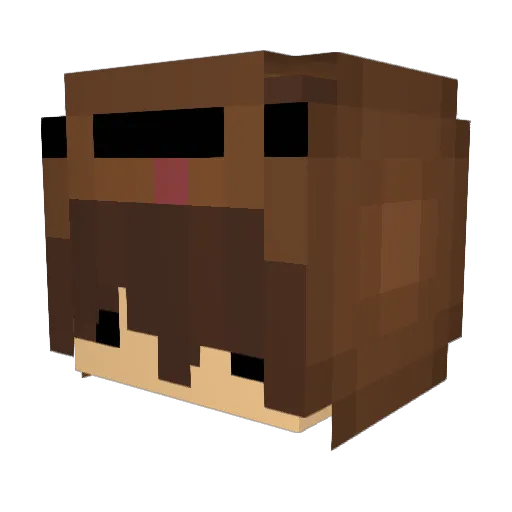 Idolfina Minecraft avatar head, 3D render