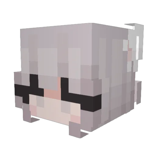 Idotlooser Minecraft avatar head, 3D render
