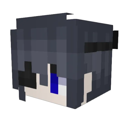 Idrk_0 Minecraft avatar head, 3D render