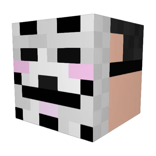 IdroiDGamer Minecraft avatar head, 3D render