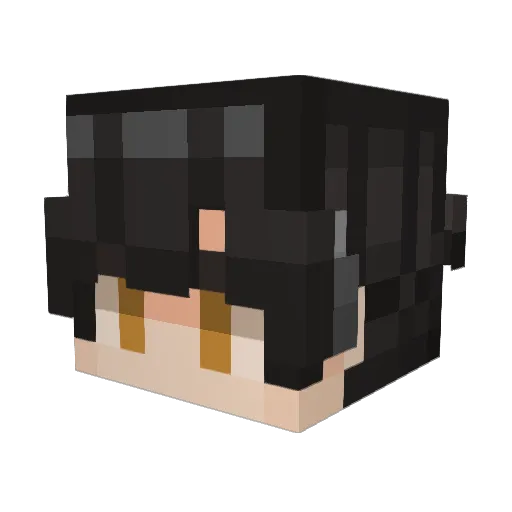 IdyllicPenguin Minecraft avatar head, 3D render