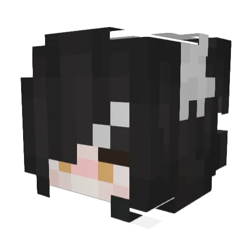IeJcLeS Minecraft avatar head, 3D render