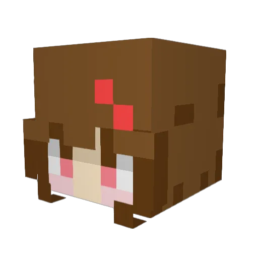 Ieejaewon Minecraft avatar head, 3D render