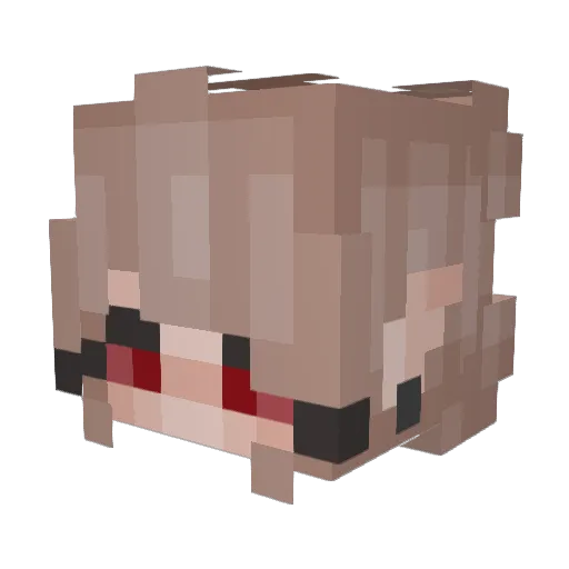 IfOnlyYouKnewMe Minecraft avatar head, 3D render