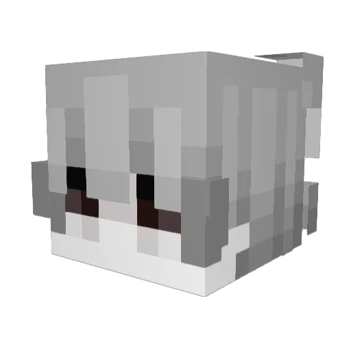 IfanWhx1e Minecraft avatar head, 3D render