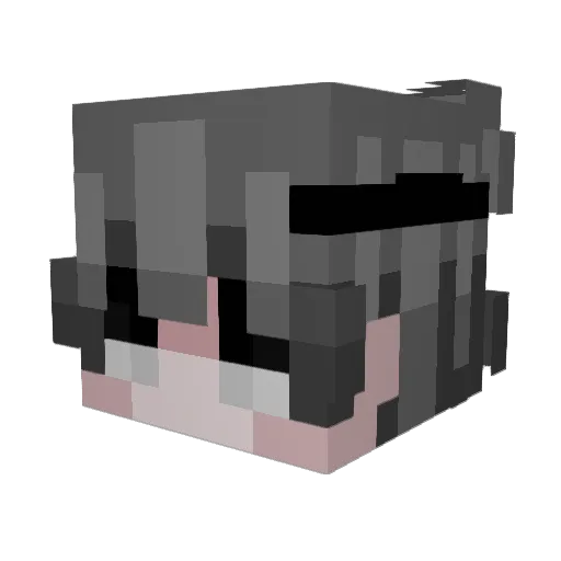 IgNstrqker Minecraft avatar head, 3D render