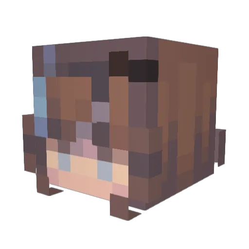 Iga64 Minecraft avatar head, 3D render