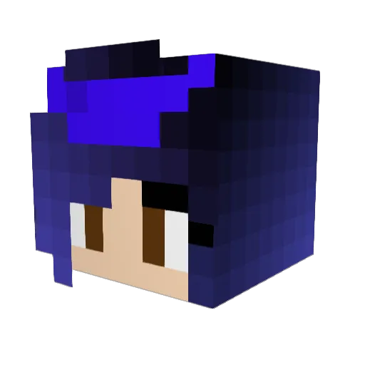 IgaEvei Minecraft avatar head, 3D render