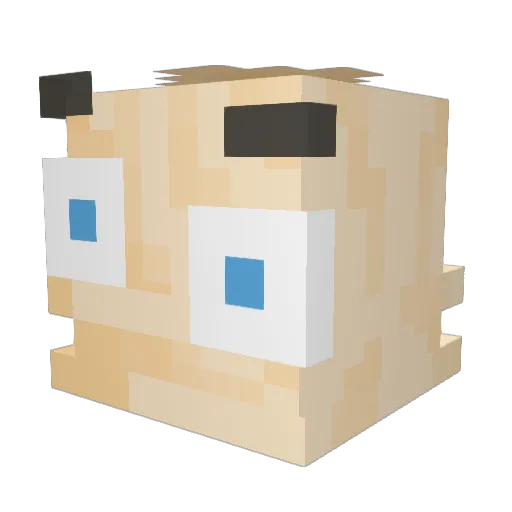 Igallta_TSH Minecraft avatar head, 3D render