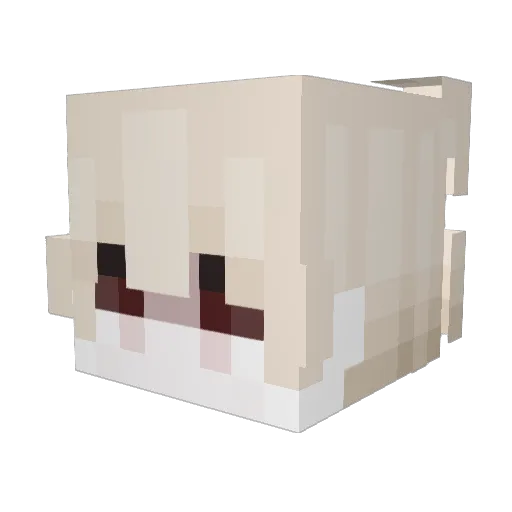 Igel Minecraft avatar head, 3D render