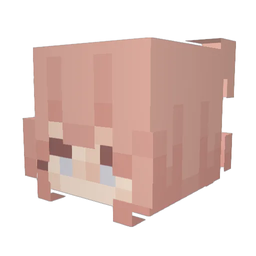 Igelmutter Minecraft avatar head, 3D render