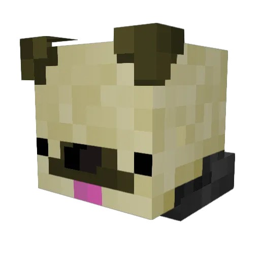 Iggy4807 Minecraft avatar head, 3D render