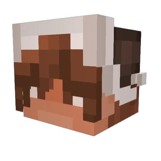 Iggy76 Minecraft avatar head, 3D render
