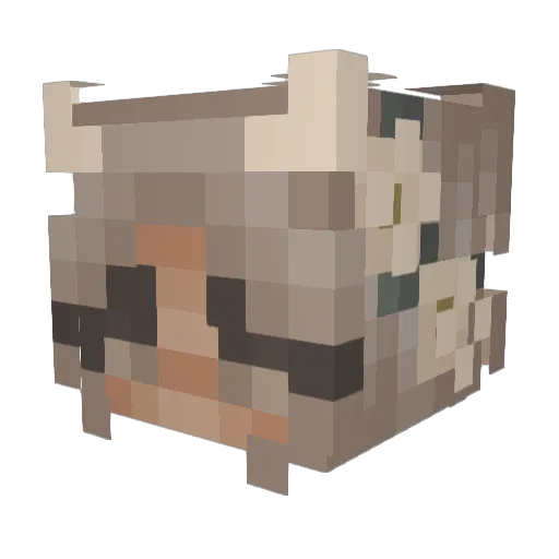 Iglooloverr Minecraft avatar head, 3D render