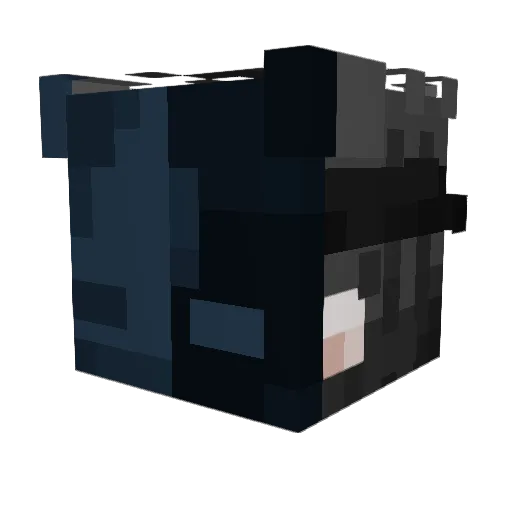 IgnExotiic Minecraft avatar head, 3D render