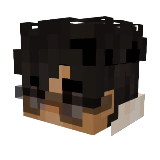 IgnNotBurrito Minecraft avatar head, 3D render