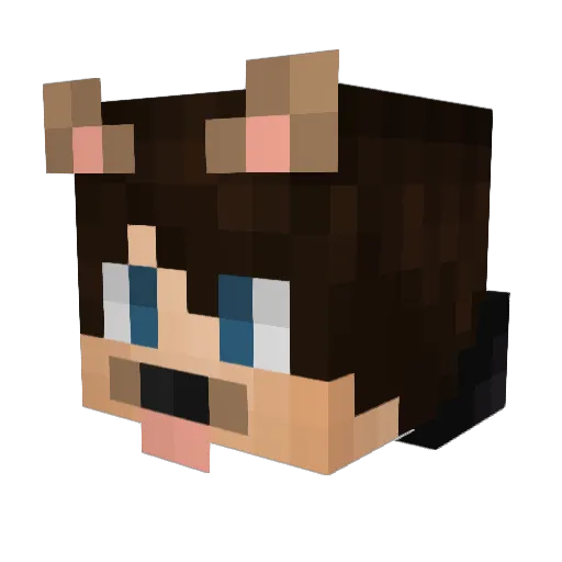 Ignaa_ Minecraft avatar head, 3D render