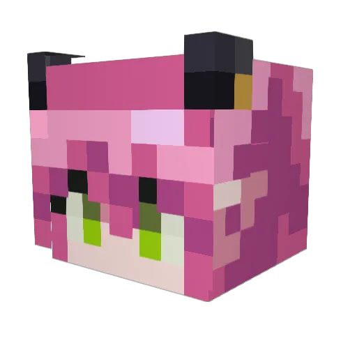 Ignachimakoci Minecraft avatar head, 3D render