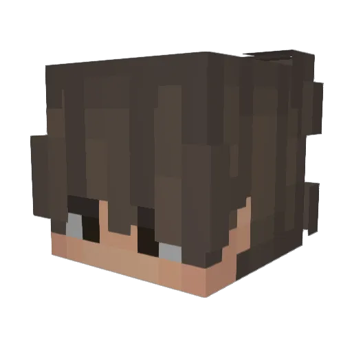 Ignacy_z Minecraft avatar head, 3D render