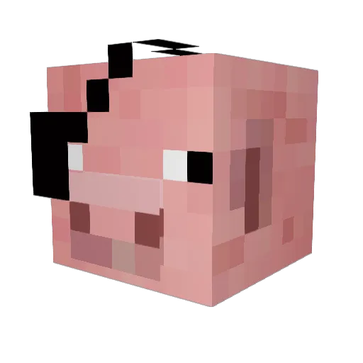 Ignas_024 Minecraft avatar head, 3D render