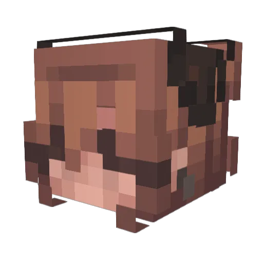 Ignatius__ Minecraft avatar head, 3D render
