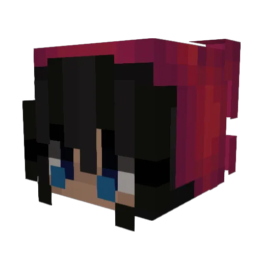 Ignn04 Minecraft avatar head, 3D render