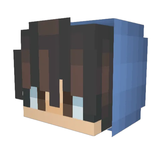 Ignoorantt Minecraft avatar head, 3D render
