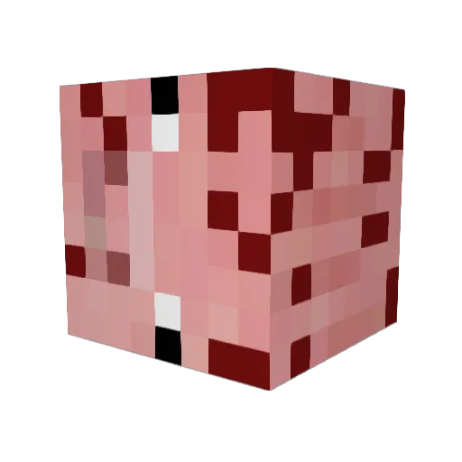 Ignoredgraph Minecraft avatar head, 3D render