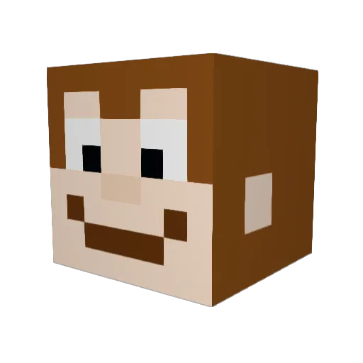Ignorital__ Minecraft avatar head, 3D render