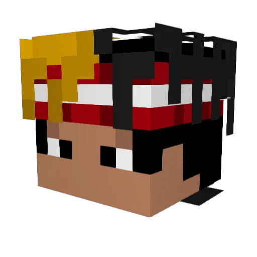 Ignoro Minecraft avatar head, 3D render