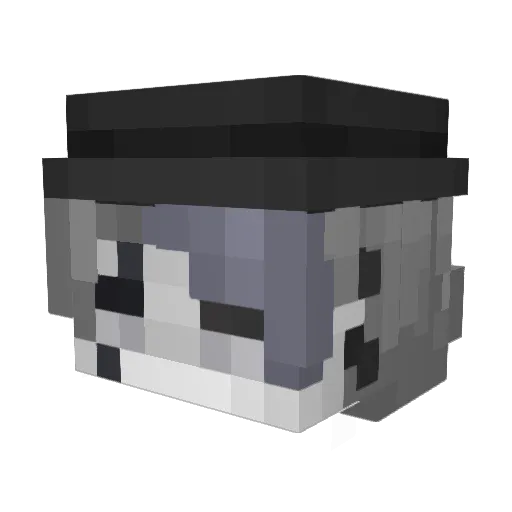 IgoposI Minecraft avatar head, 3D render
