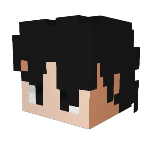 IgorSN7 Minecraft avatar head, 3D render