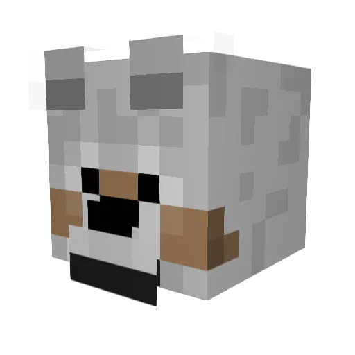 Igorius69 Minecraft avatar head, 3D render