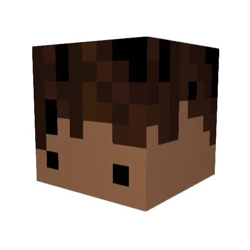 Igoxxx Minecraft avatar head, 3D render