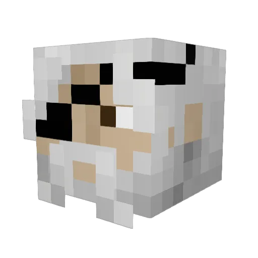 Igrigel Minecraft avatar head, 3D render