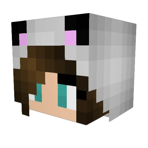 Iguana16 Minecraft avatar head, 3D render