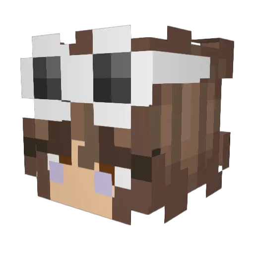 IhAvEtHeBoMb666 Minecraft avatar head, 3D render