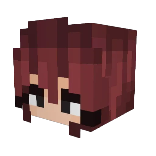Ihadlunch Minecraft avatar head, 3D render