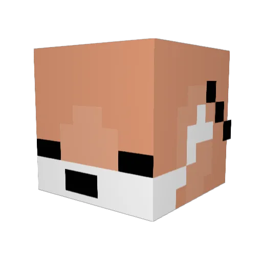 IhasRat Minecraft avatar head, 3D render