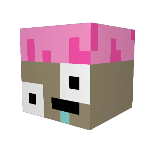 IhaveN0Brain Minecraft avatar head, 3D render