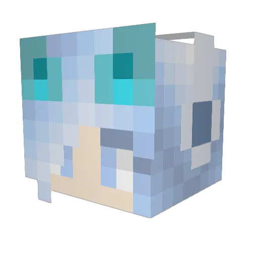 Ihazcupcakes Minecraft avatar head, 3D render