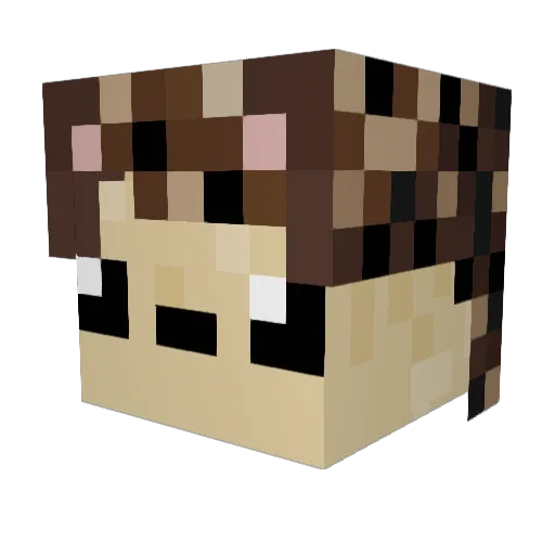 Ihedgehogs Minecraft avatar head, 3D render