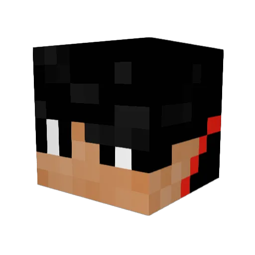 Ihr_stinkt Minecraft avatar head, 3D render