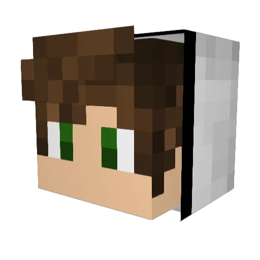 Iitz_me Minecraft avatar head, 3D render
