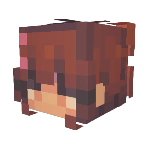 Ijbaig Minecraft avatar head, 3D render