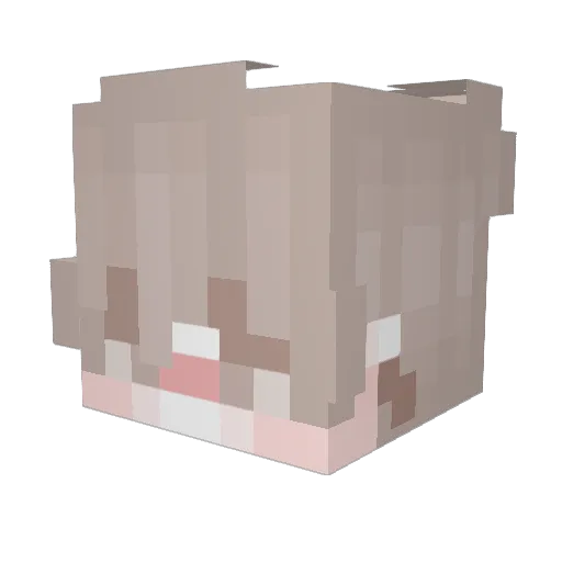 Ijustatemycat Minecraft avatar head, 3D render
